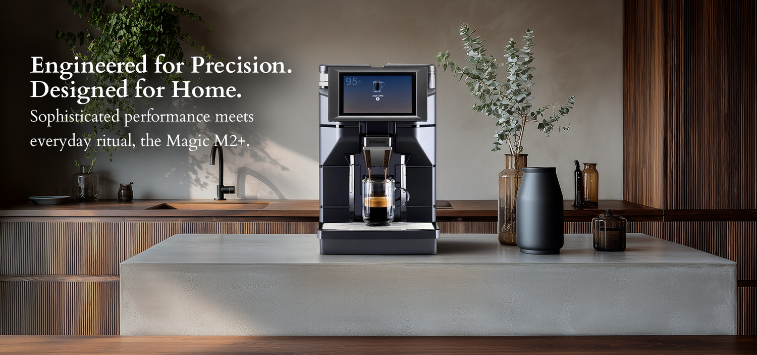 Modesto & Associates